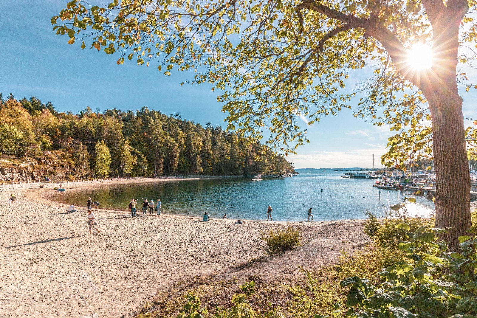 Søndagsturen kan også gå til Havnepromenaden eller Bygdøy, hvor du finner vakkert naturlandskap, spennende museer og severdigheter, flotte turterreng og herlige badeplasser, som for eksempel Bygdøy sjøbad Galleribilde