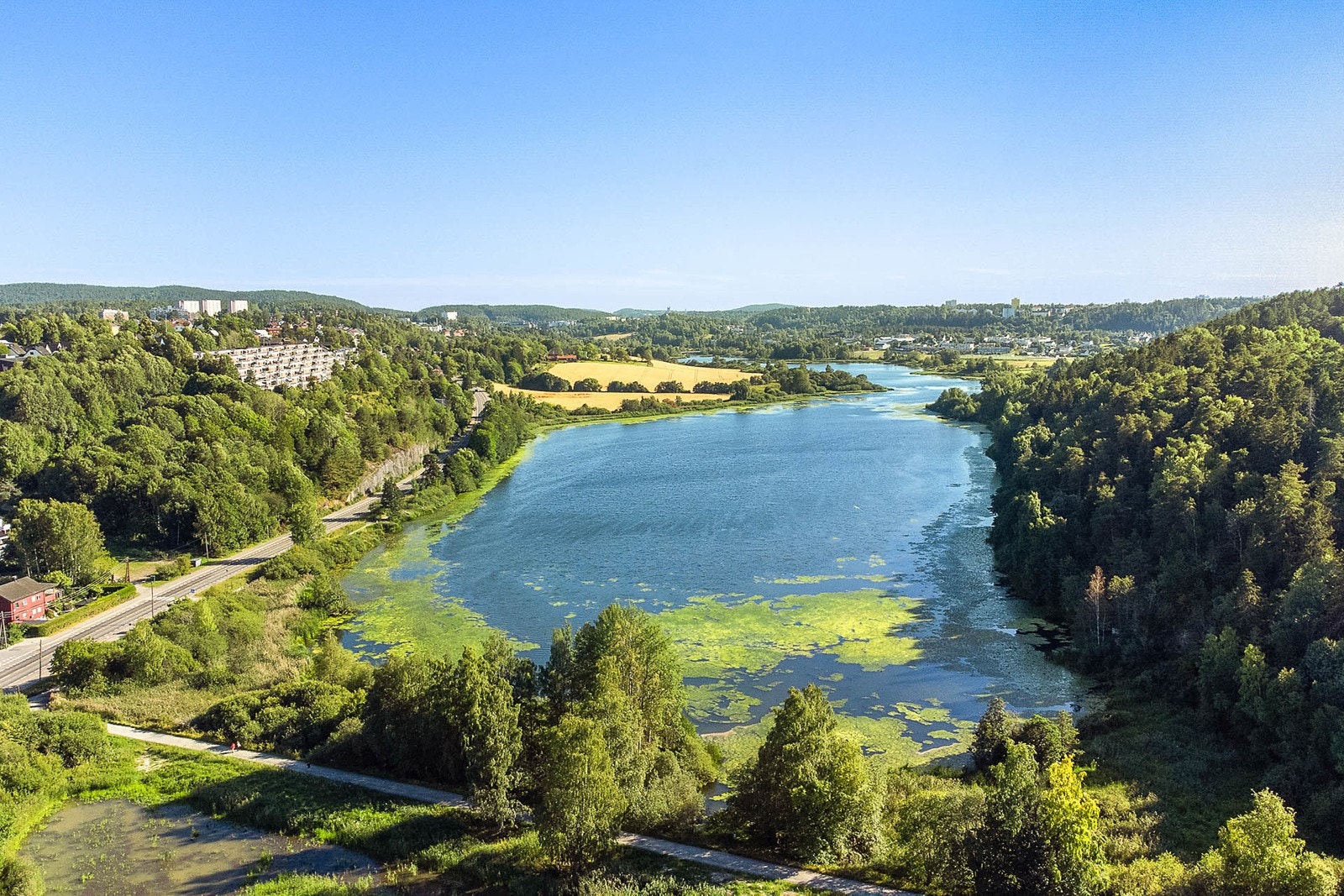 Østensjøvannet byr på et yrende fugleliv og muligheten til fine turer og avslapping. Galleribilde