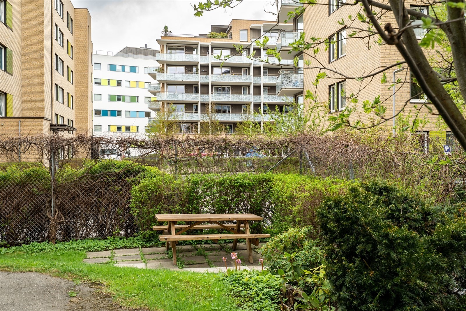 Felles hage med sittegruppe for hyggelige stunder. Galleribilde