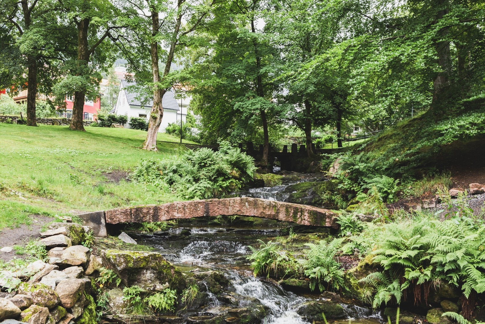 Flere flotte turområder som Christieparken og Tveitevannet i kort avstand fra leiligheten. Galleribilde