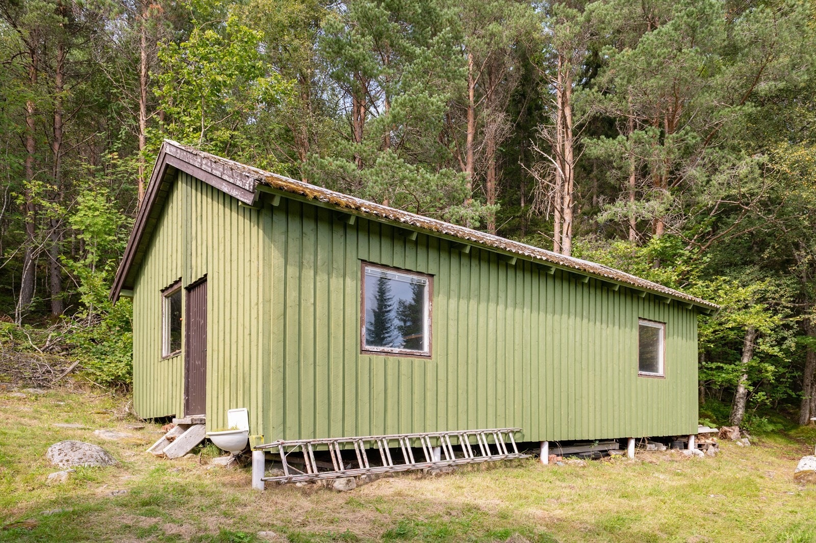 Enda et uthus med god plass til innendørs oppbevaring Galleribilde