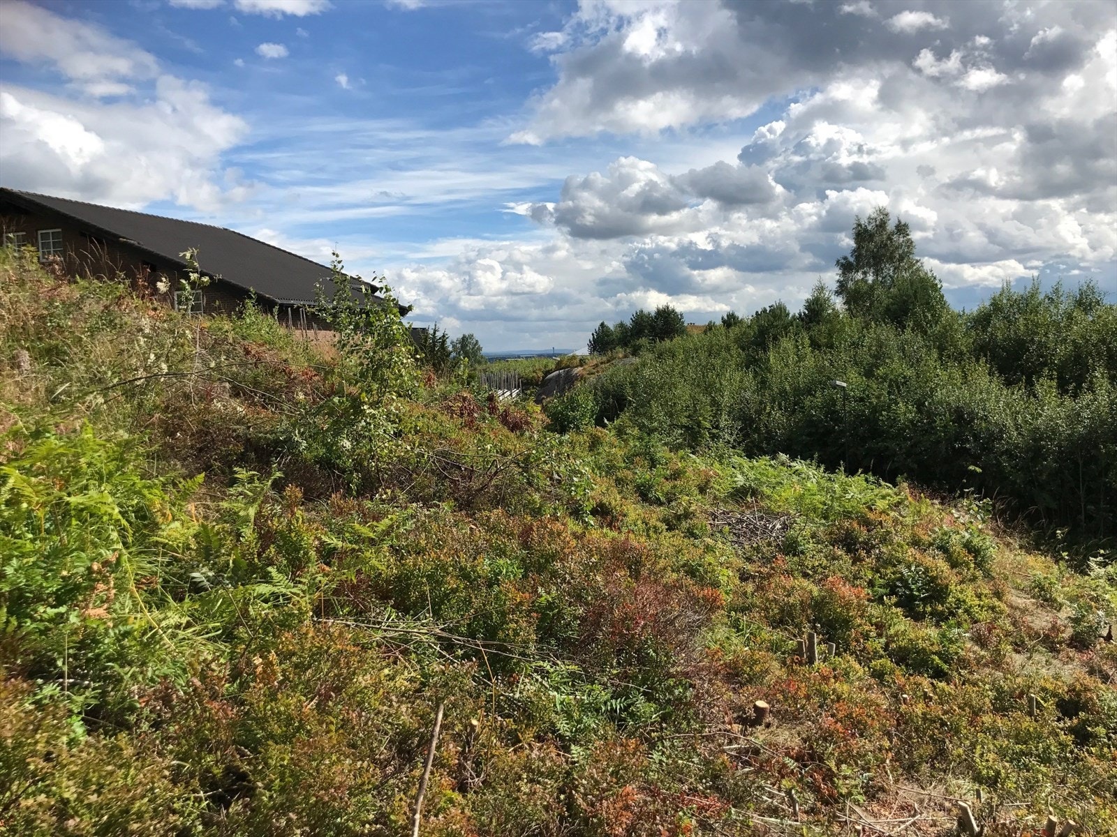 Boligtomt- Løvsangerbakken 1. Galleribilde