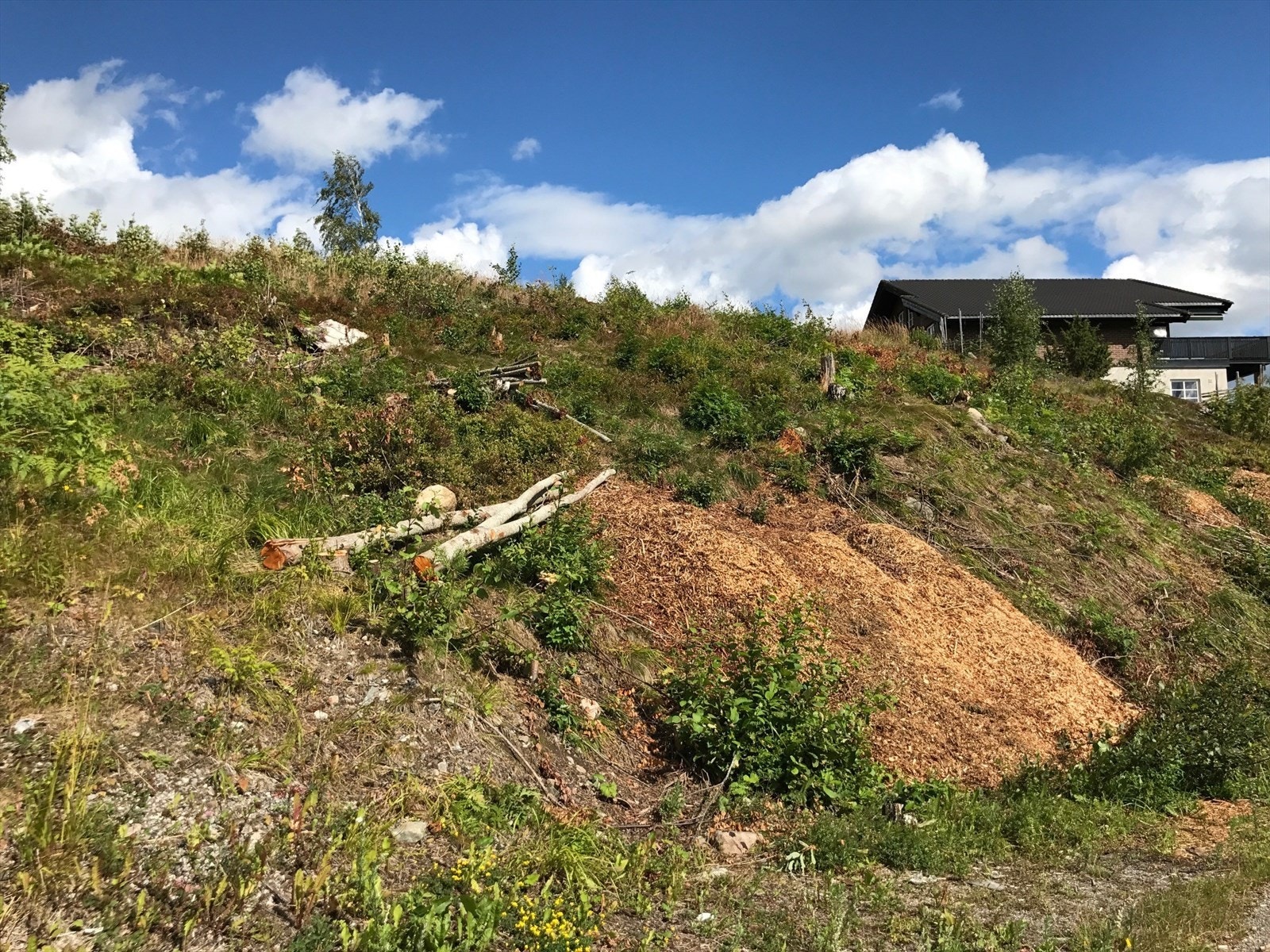 Tomten ligger i delvis skrående terreng og er på ca. 830 kvm. Galleribilde
