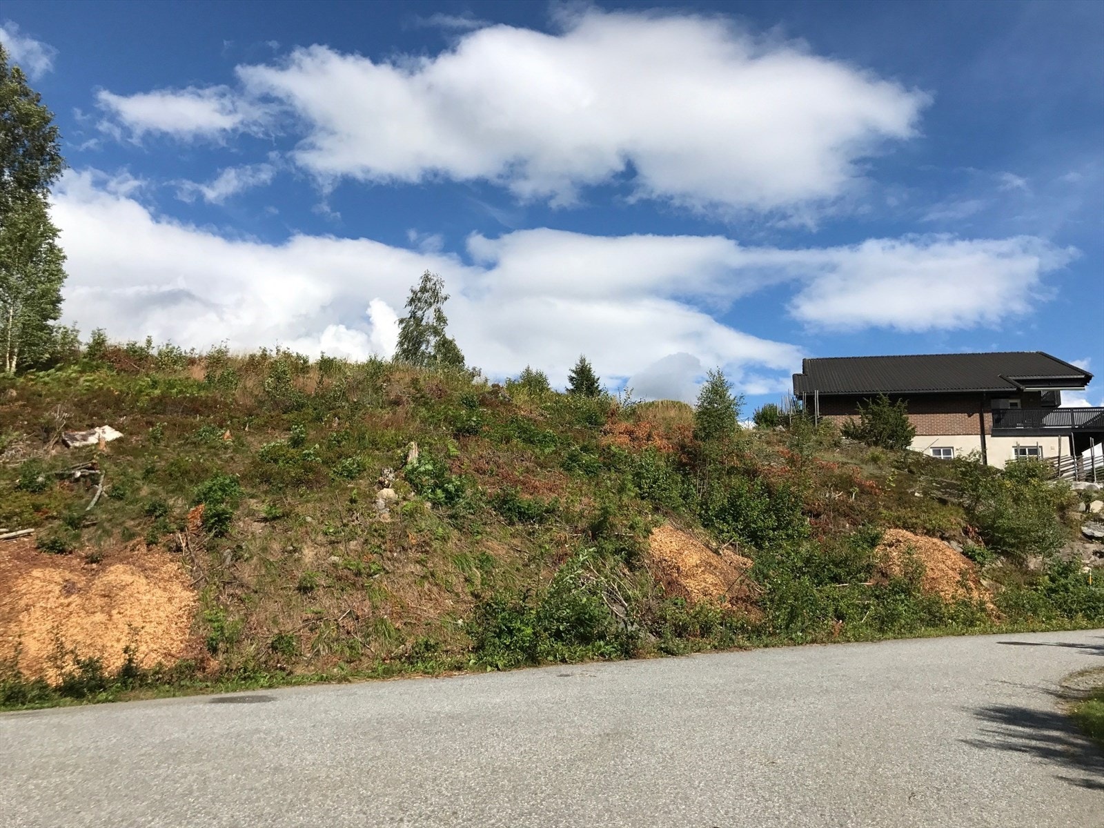 Boligtomt. Galleribilde