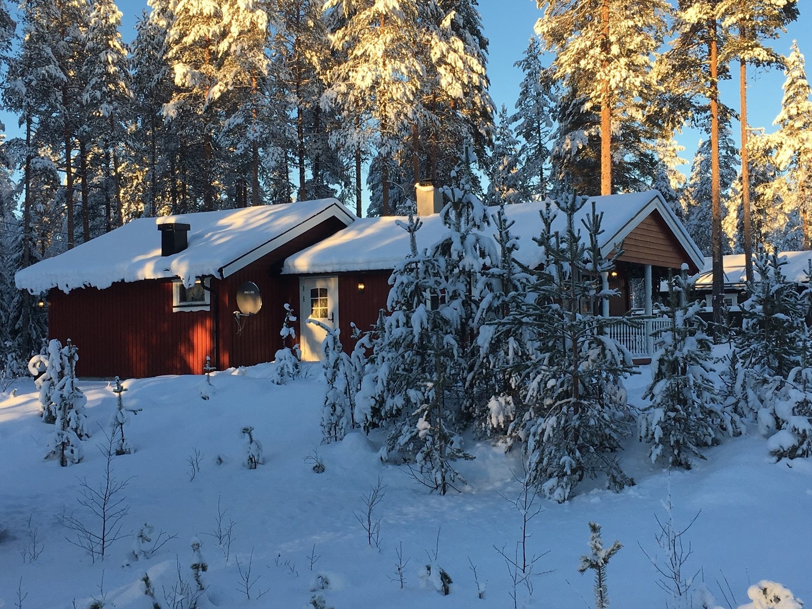 Selgers egne vinterbilder Galleribilde