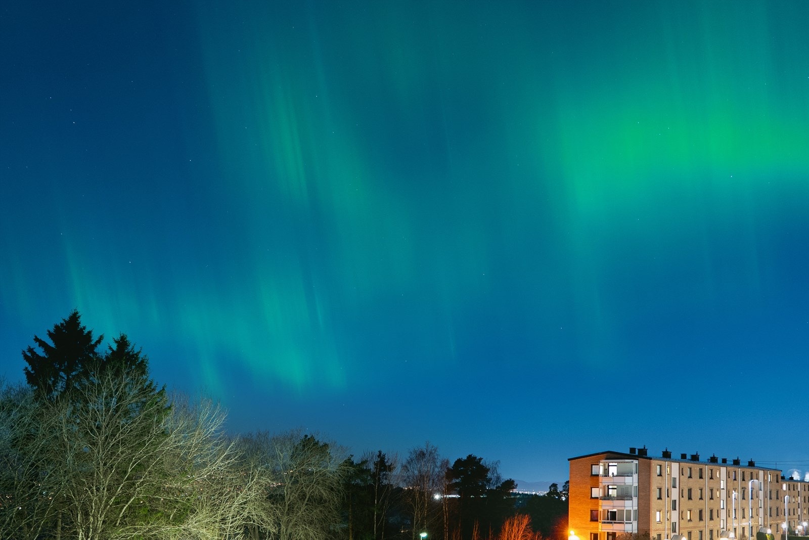 Privat bilde tatt av selger. Galleribilde