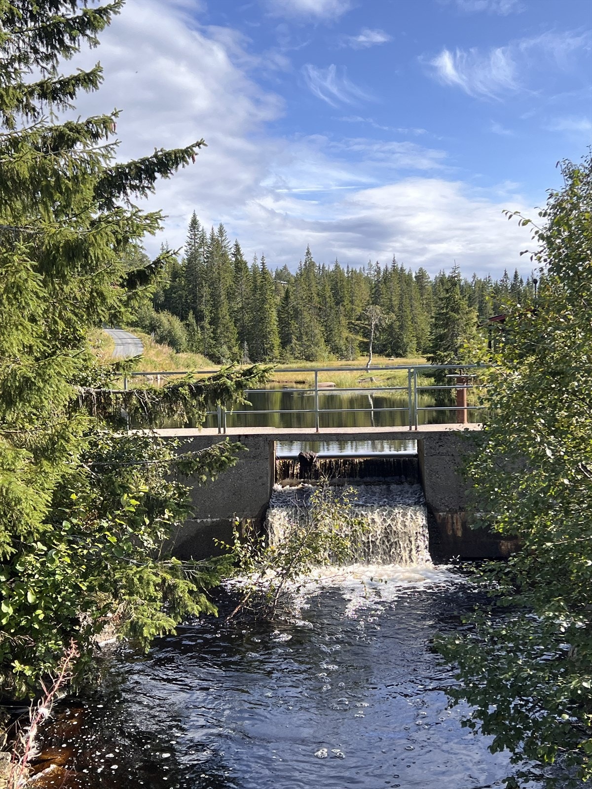 Nærområde Galleribilde