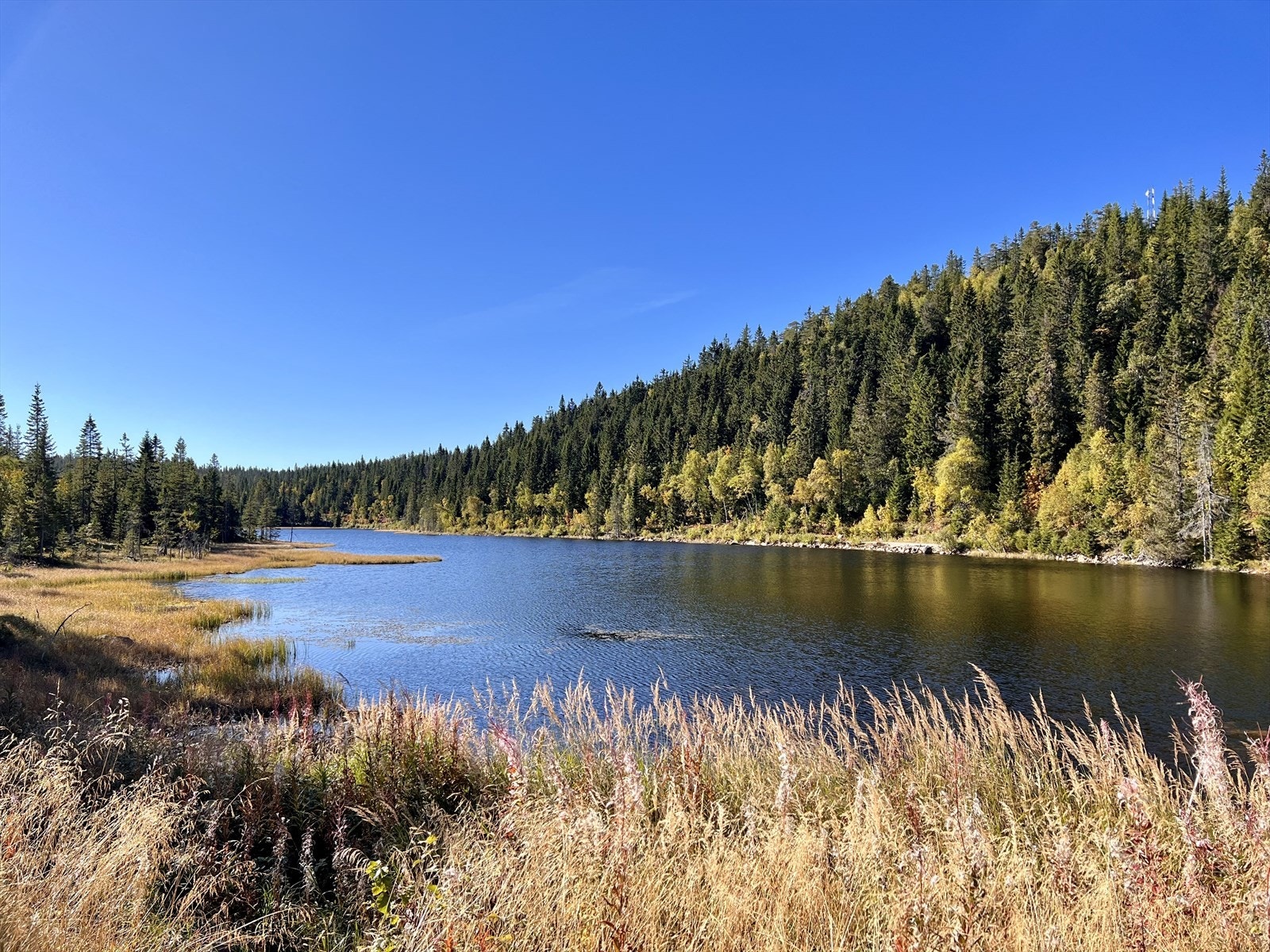 Nærområde Galleribilde