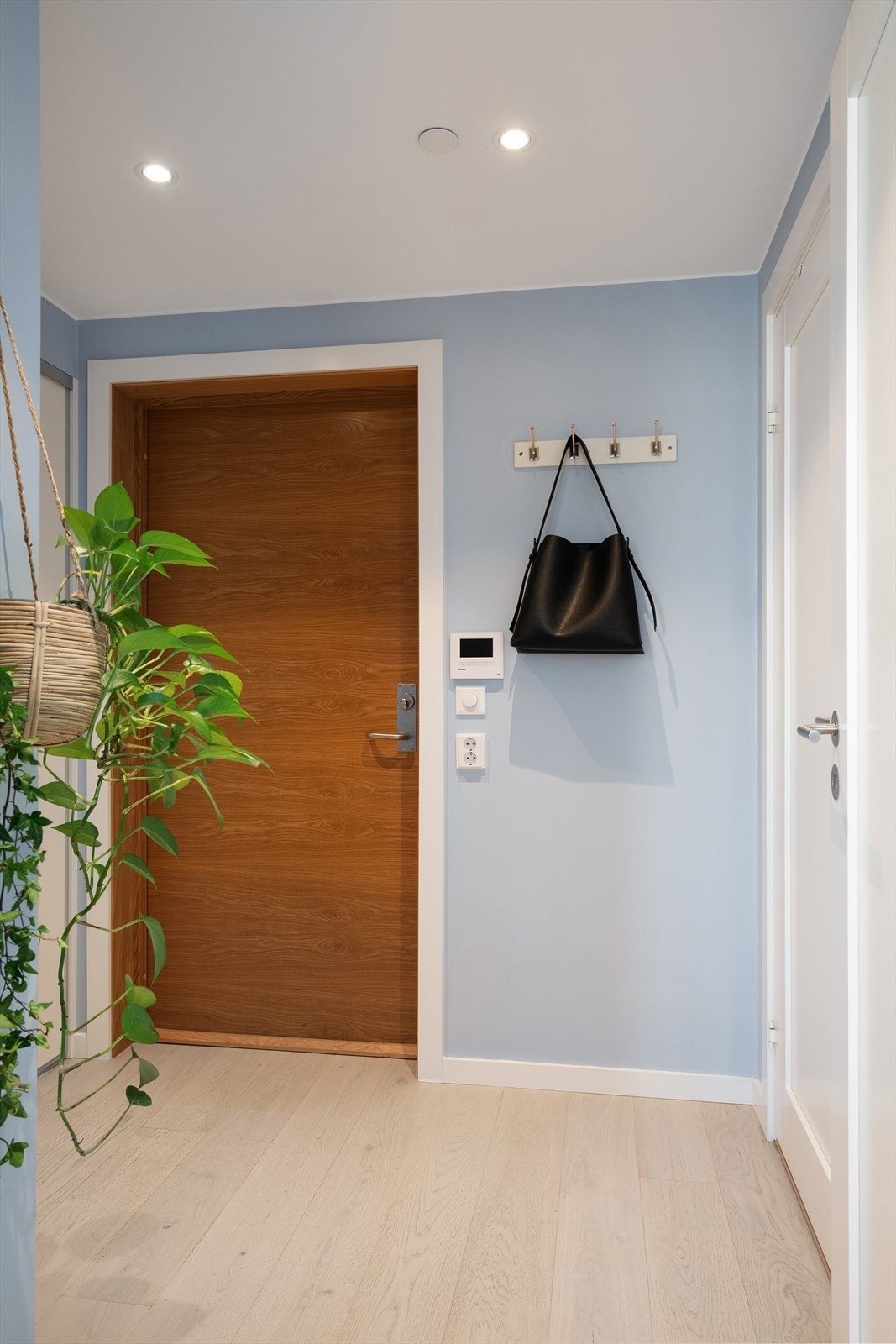 Entré med moderne fasiliteter - downlights og videoporttelefon Galleribilde