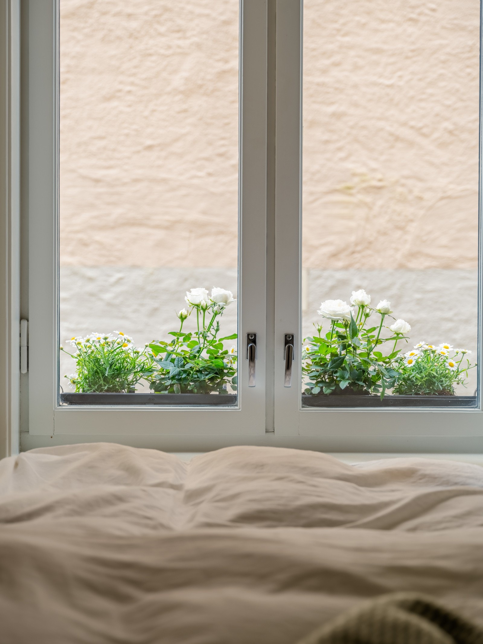 Altså, tenk å våkne til det her hver morgen! Galleribilde