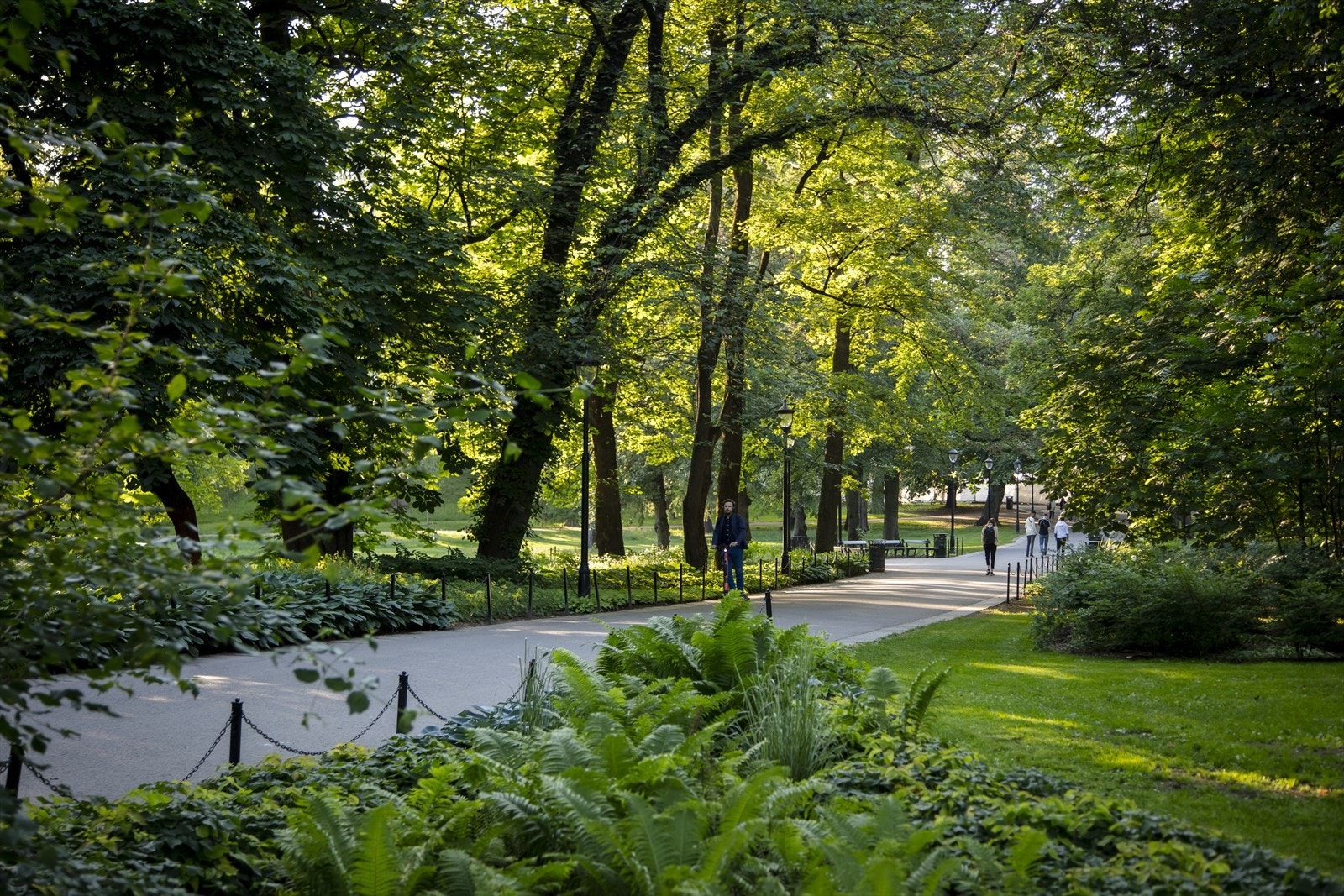 Via slottsparken kommer man seg effektivt ned til sentrum Galleribilde