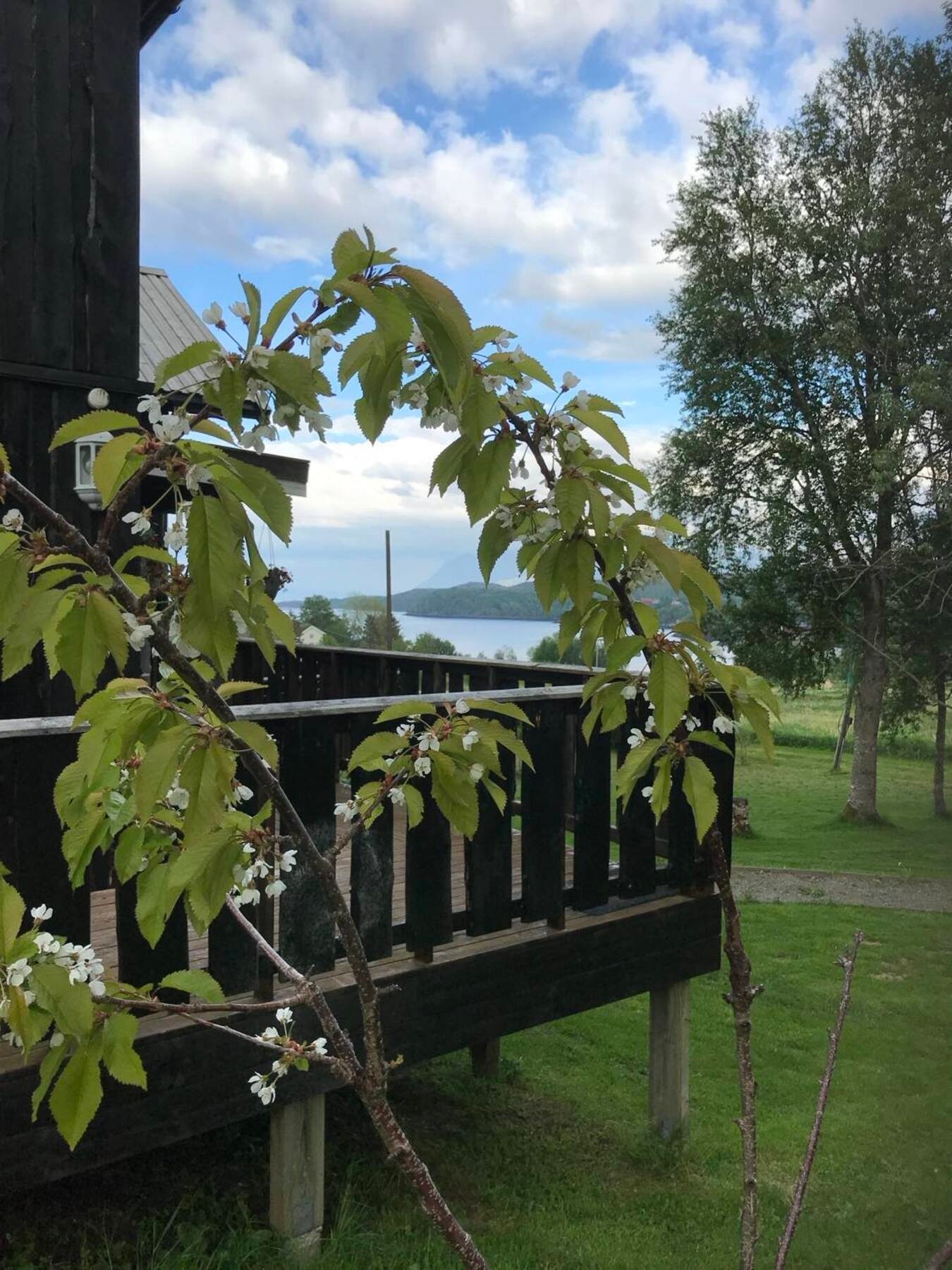 Utebilde/fasade Galleribilde