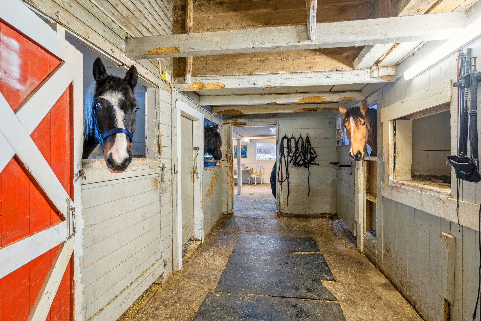 Fjøs/stall Galleribilde