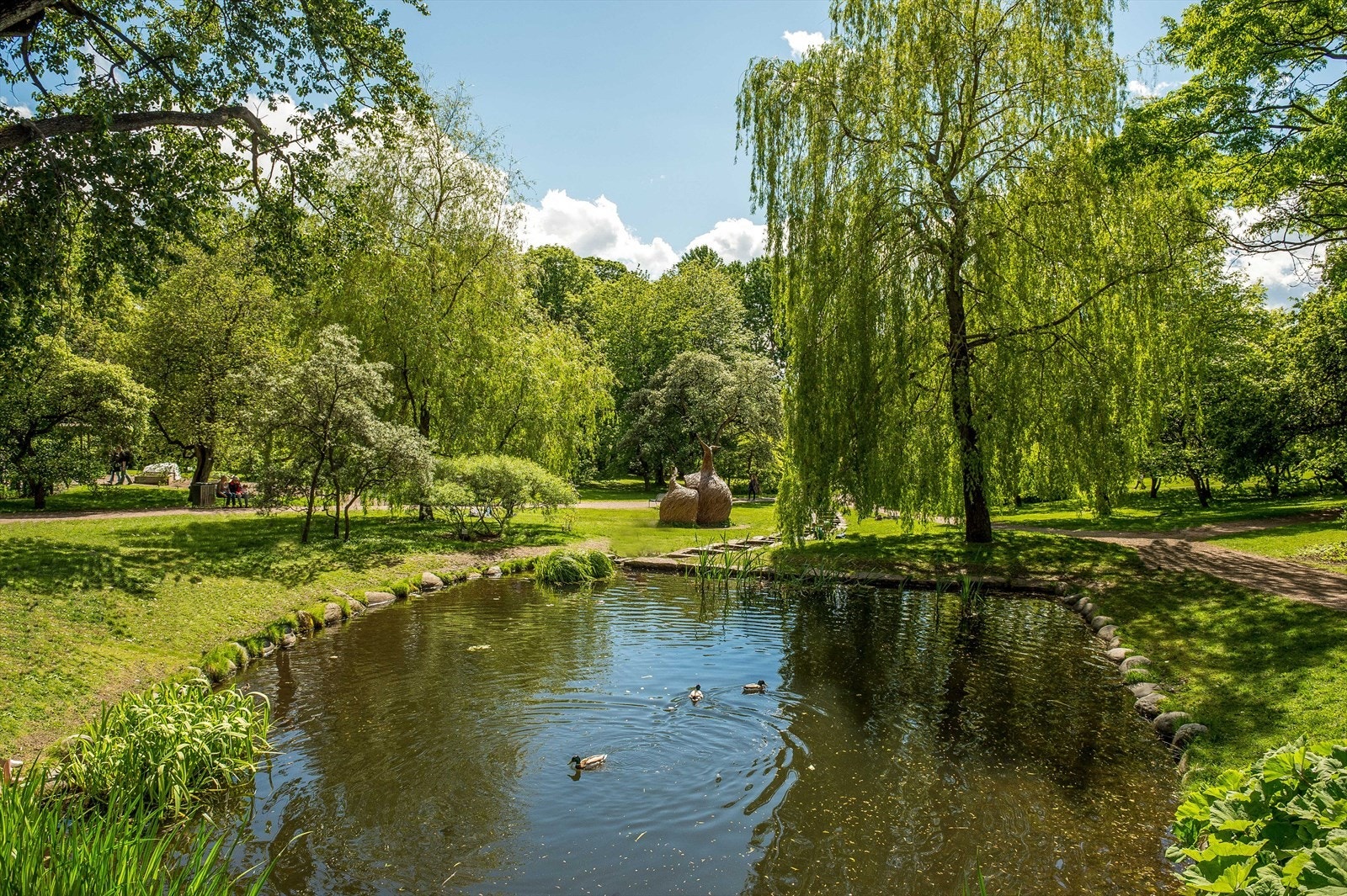 Ta deg en søndagstur til idylliske botaniske hage. Galleribilde