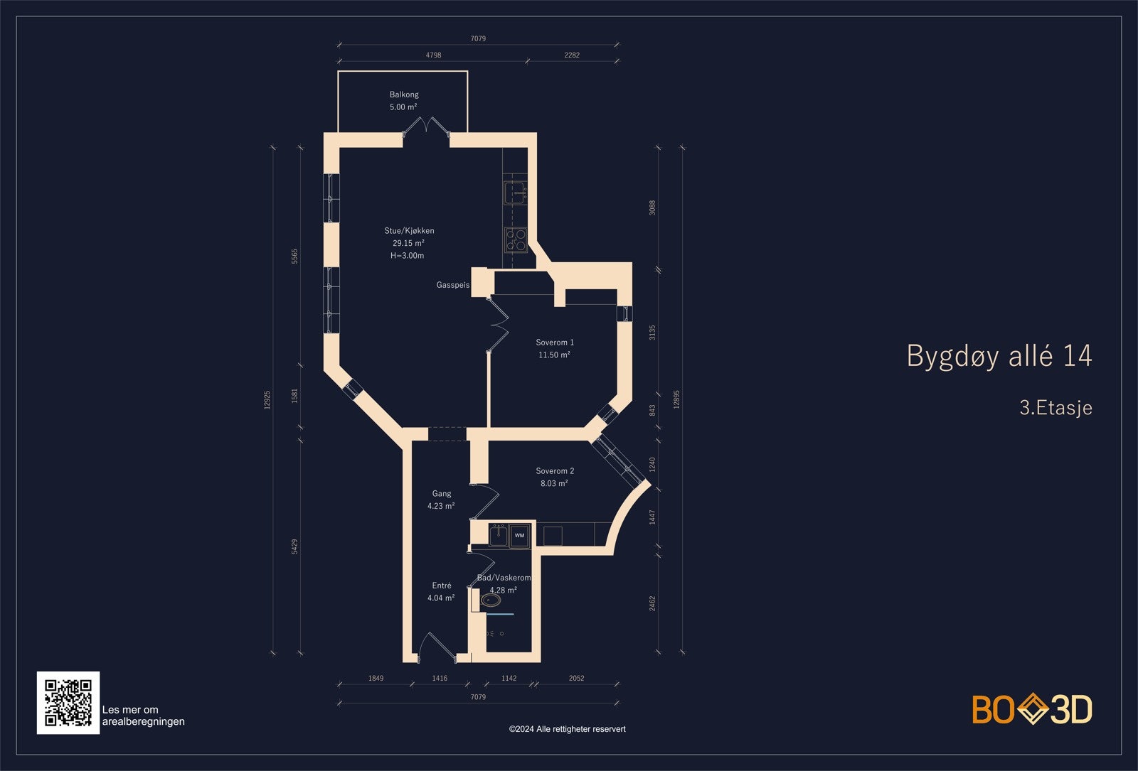 Plantegning Galleribilde