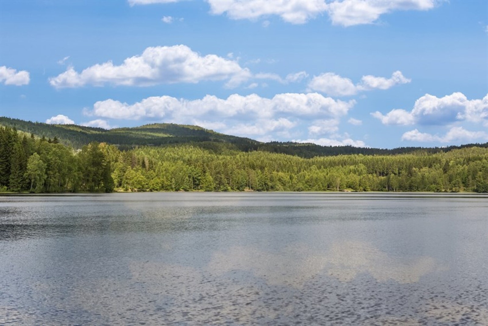 Sognsvann ligger like ved og er svært populært. Galleribilde