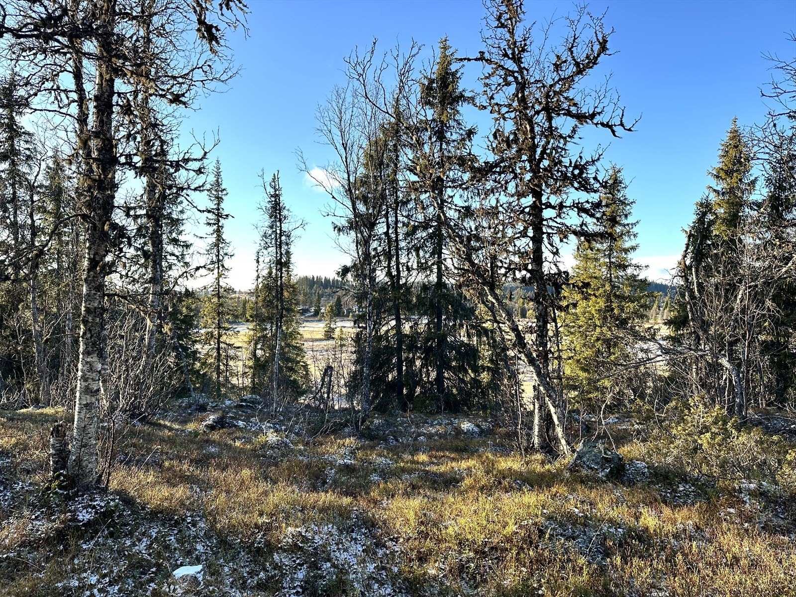 Utsikten fra hytta utover omgivelsene. Galleribilde
