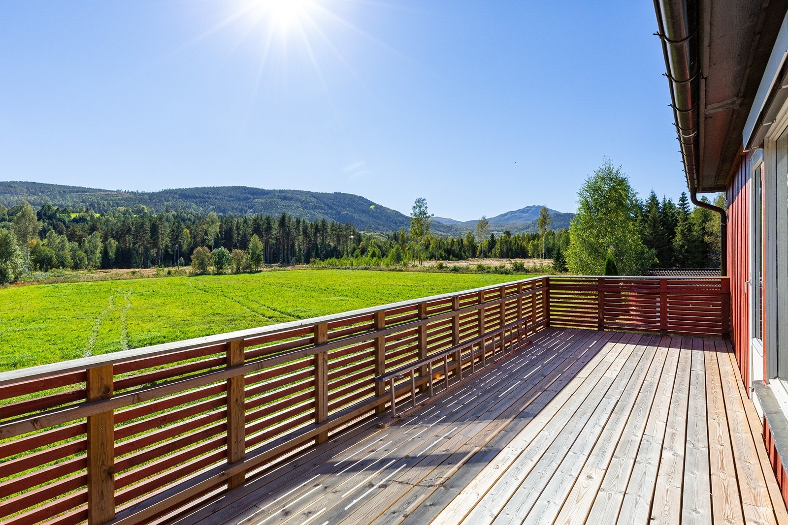 Sommerbilder fra tidligere salg (2022) Galleribilde