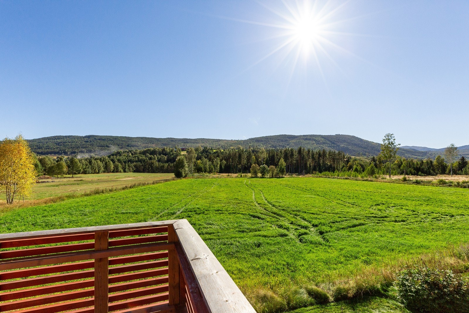 Sommerbilder fra tidligere salg (2022) Galleribilde