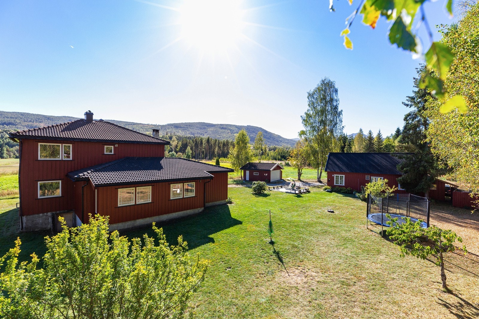 Sommerbilder fra tidligere salg (2022) Galleribilde