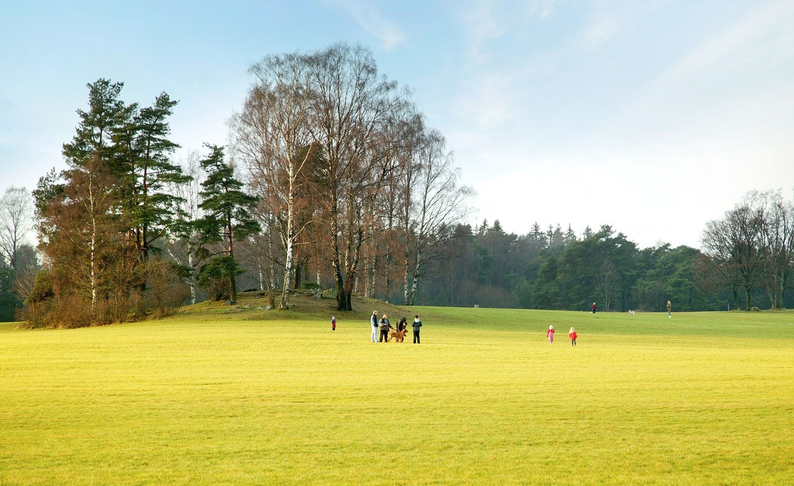 Ekebergsletta er rett ved Galleribilde
