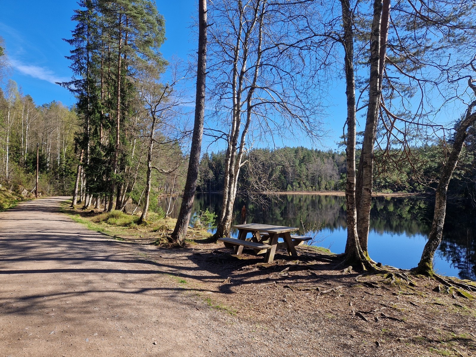 Nærområdet Galleribilde