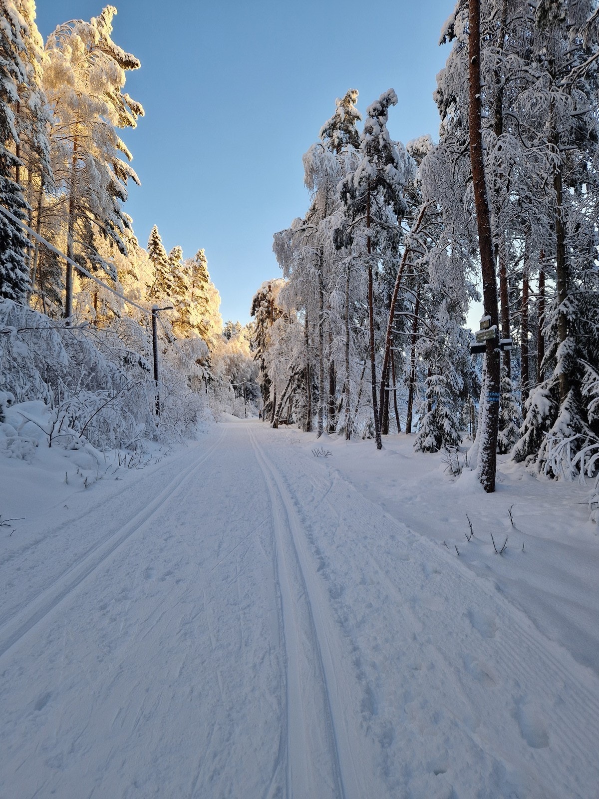 Nærområde vinter Galleribilde