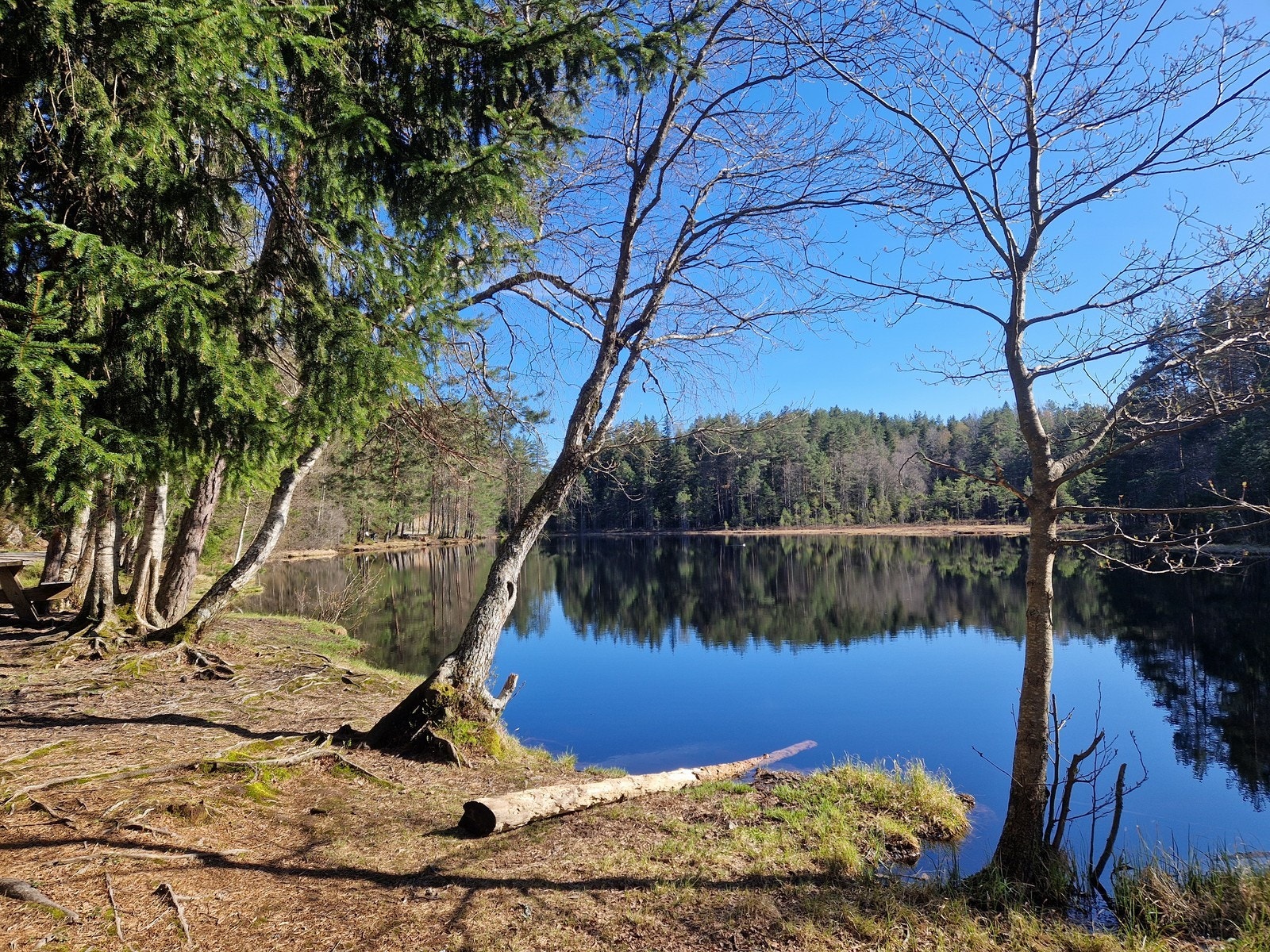 Nærområdet - Solbervannet - kort spasertur unna Galleribilde