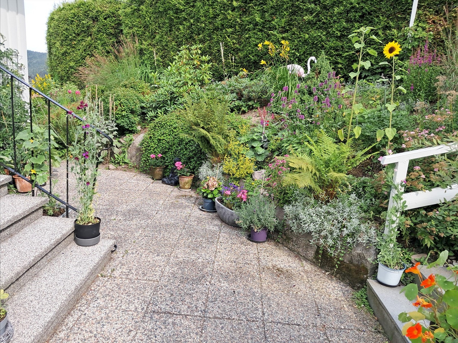 Fra hagen sommerstid, bilde tatt av eier. Galleribilde