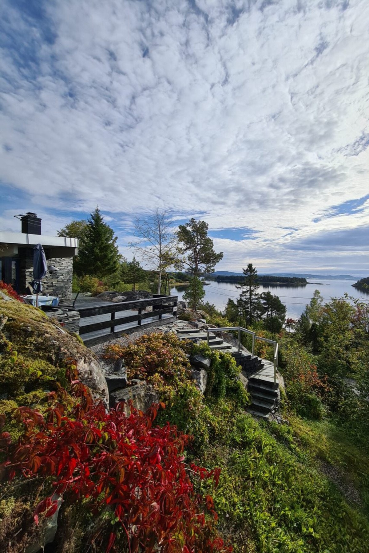 Frodig uteareal Galleribilde