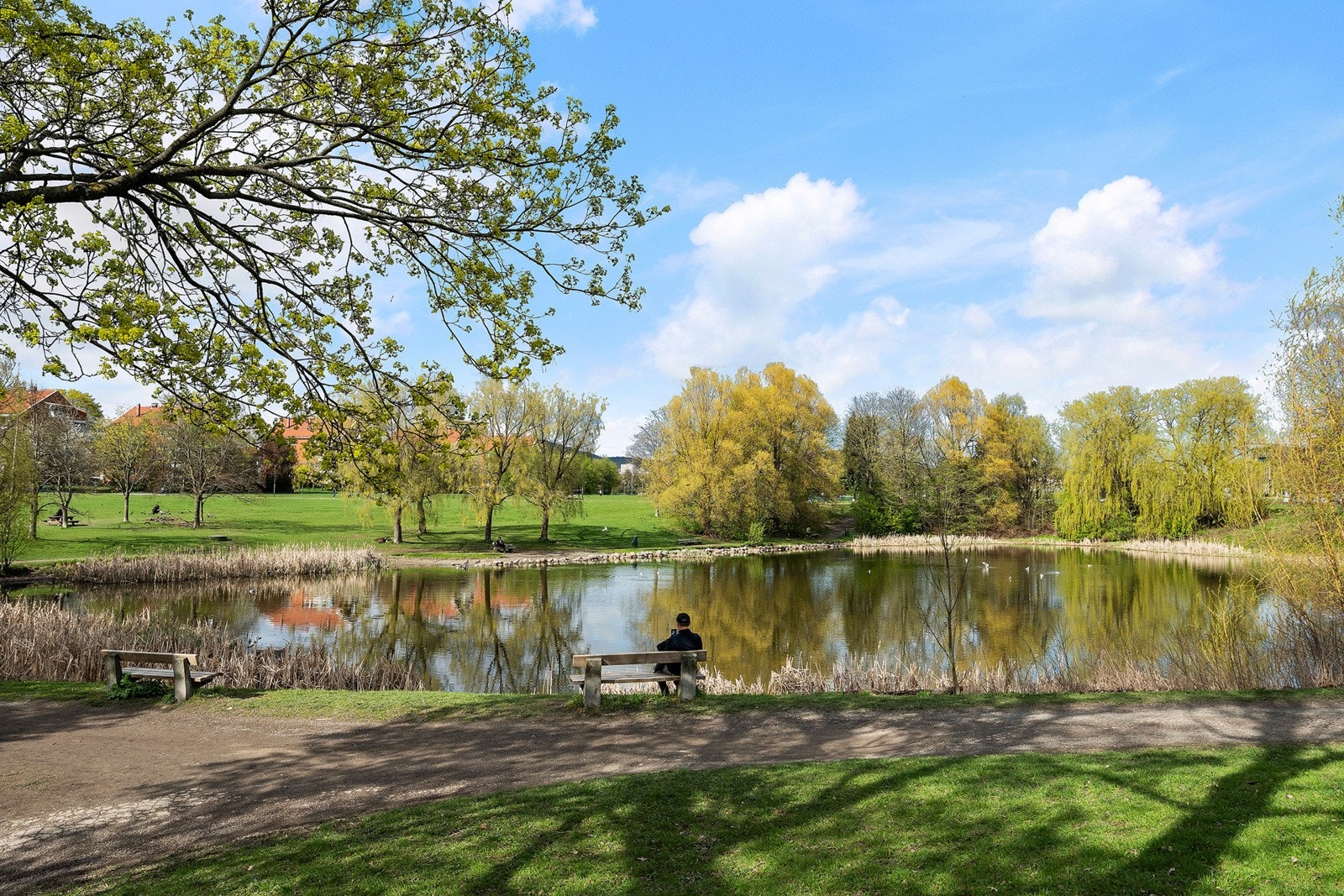 Fine turområder i nærområdet. Galleribilde