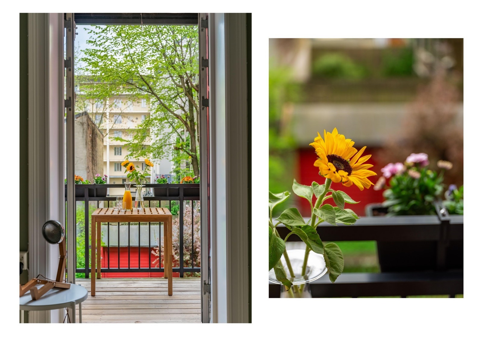 Herfra finner vi utgangen til den frodige balkongen. Galleribilde