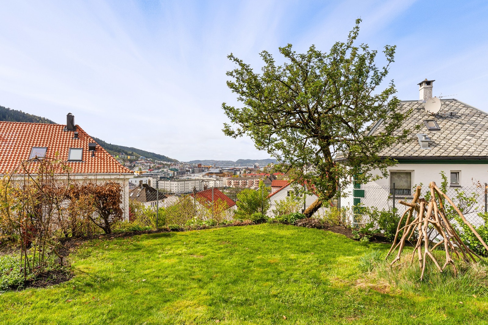 Stor gressplen med fantastisk utsikt Galleribilde