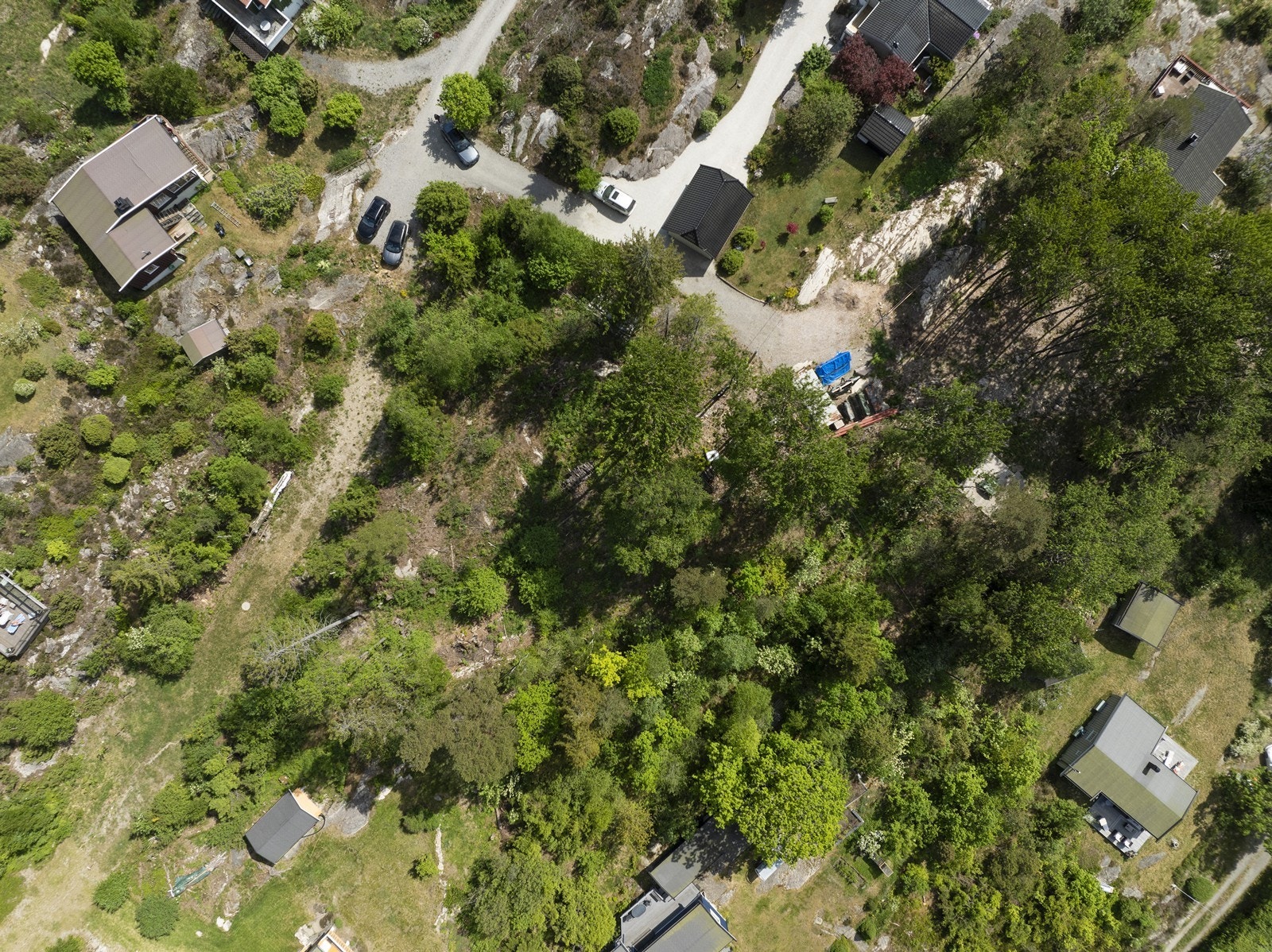 Oversiktskart over tomten Galleribilde