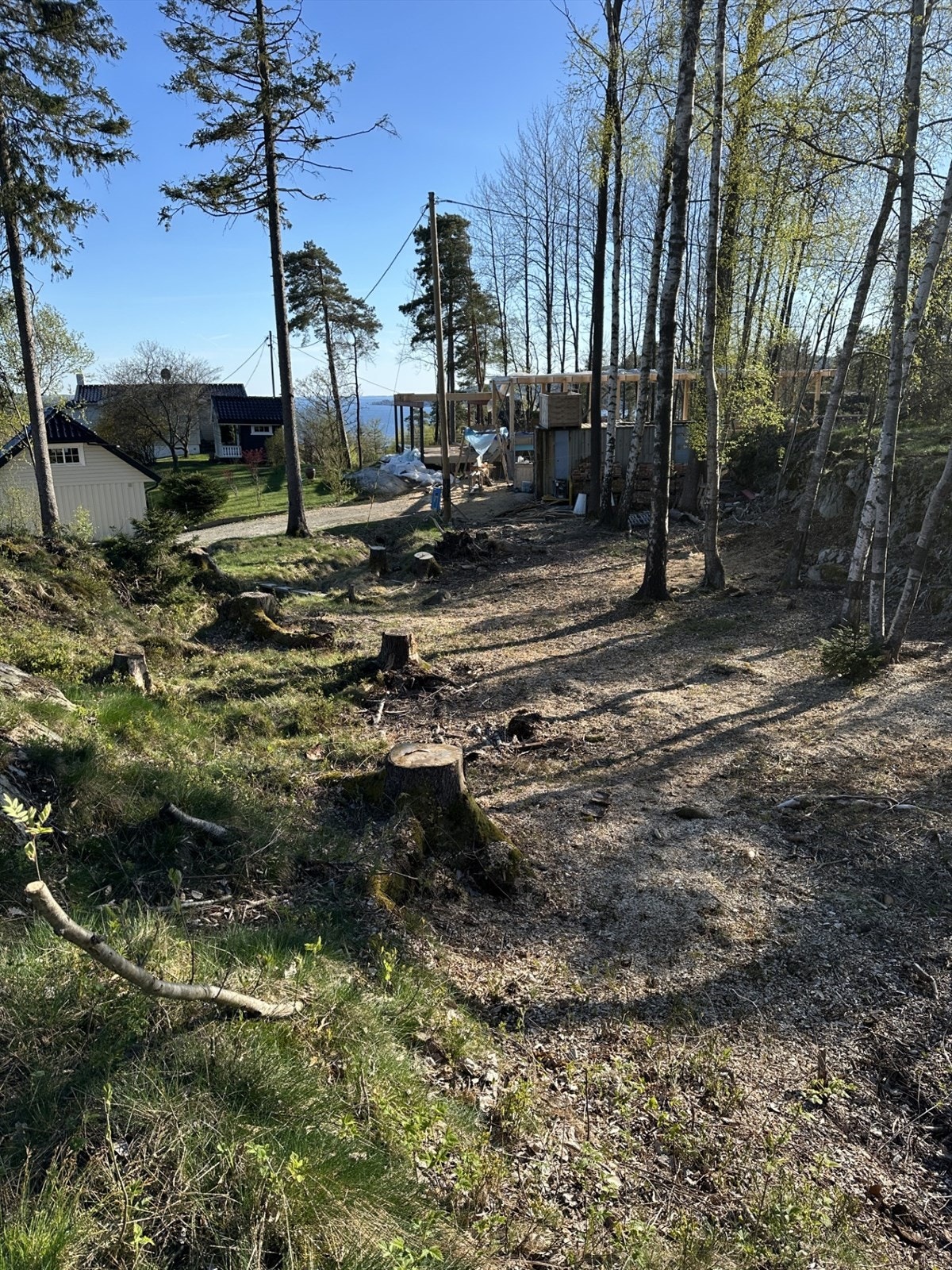 privat bilde Galleribilde