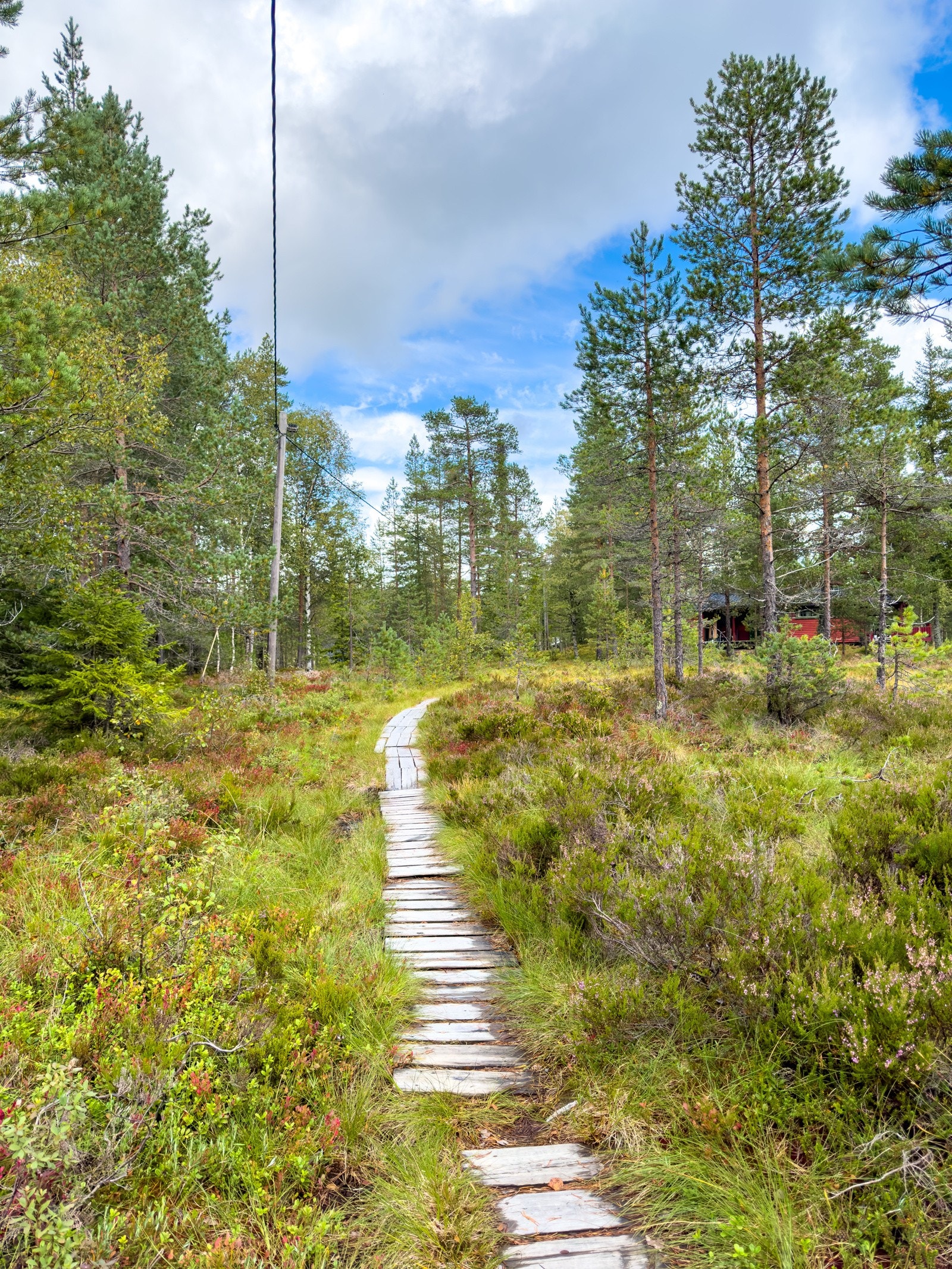 Fra parkeringen går veien til fots frem til hytta Galleribilde