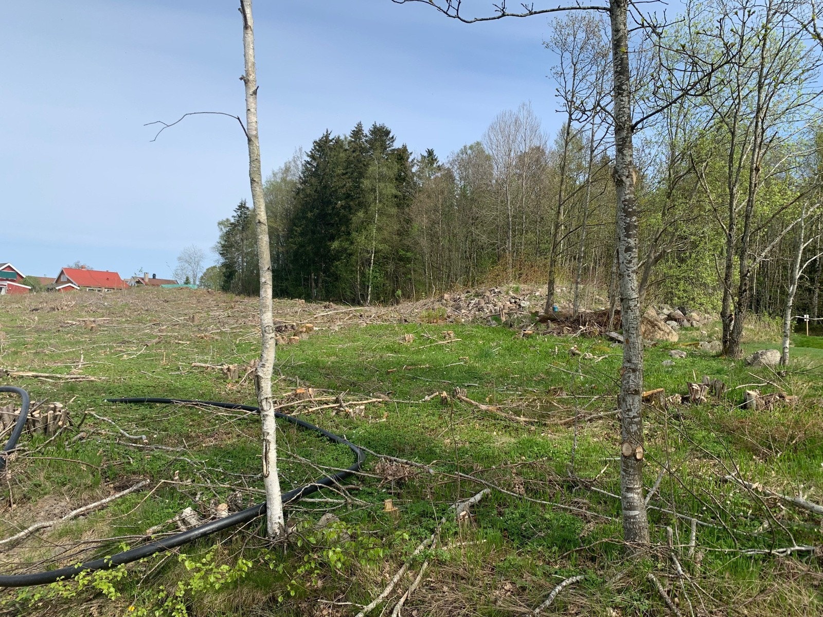 mai 2025 Galleribilde