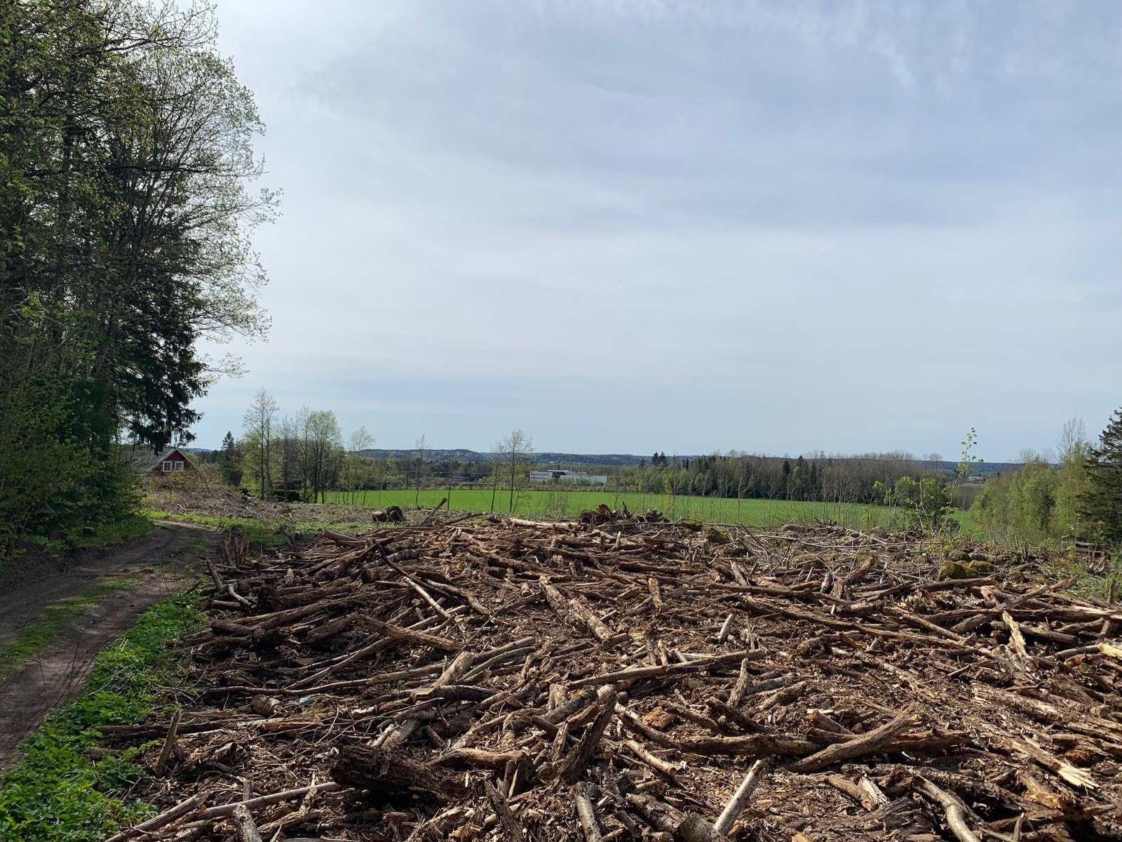 Utsyn mot syd Galleribilde