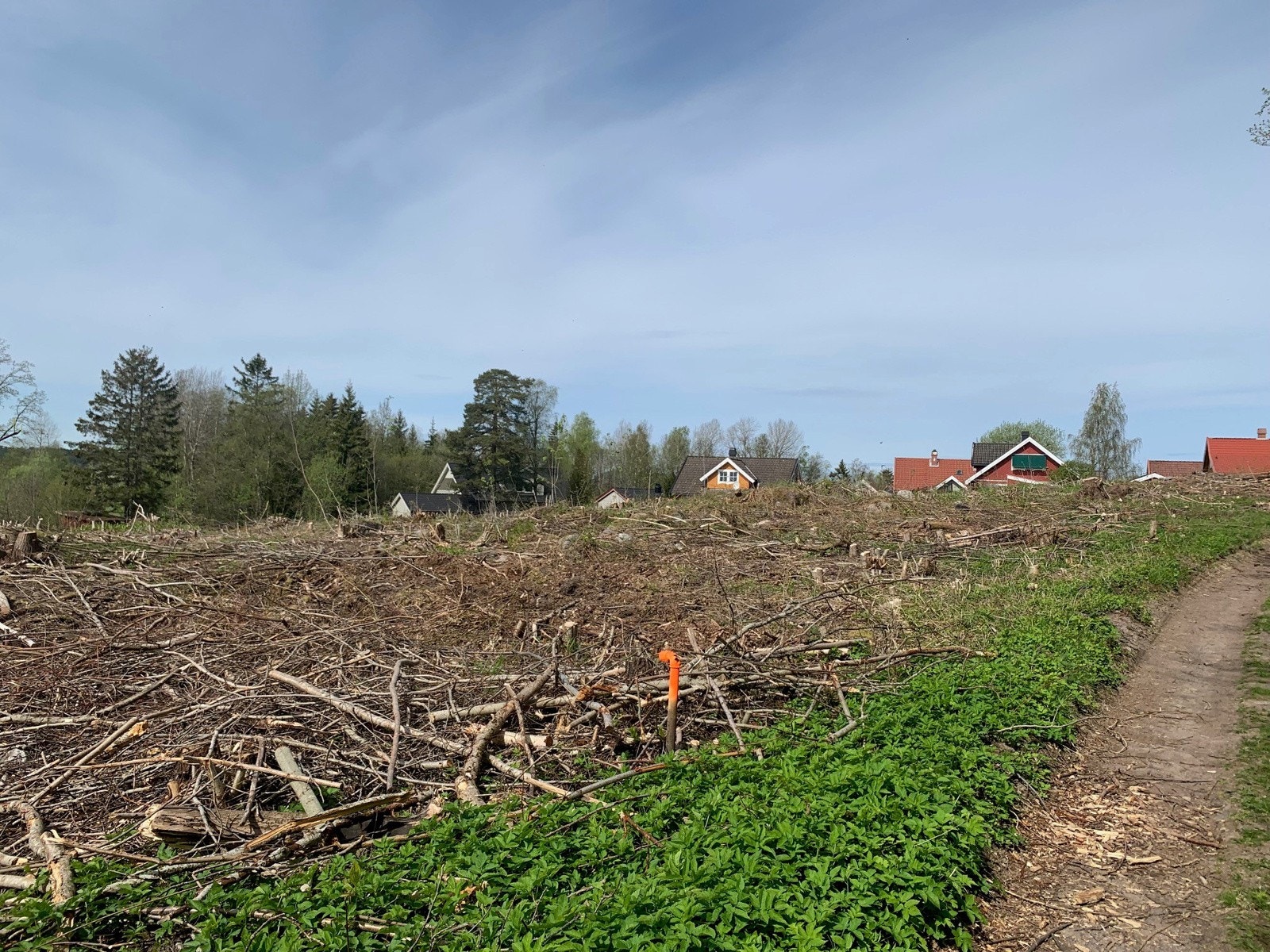 Området sett fra syd-øst Galleribilde