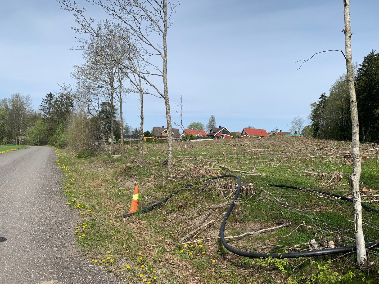 Området sett fra syd-vest Galleribilde