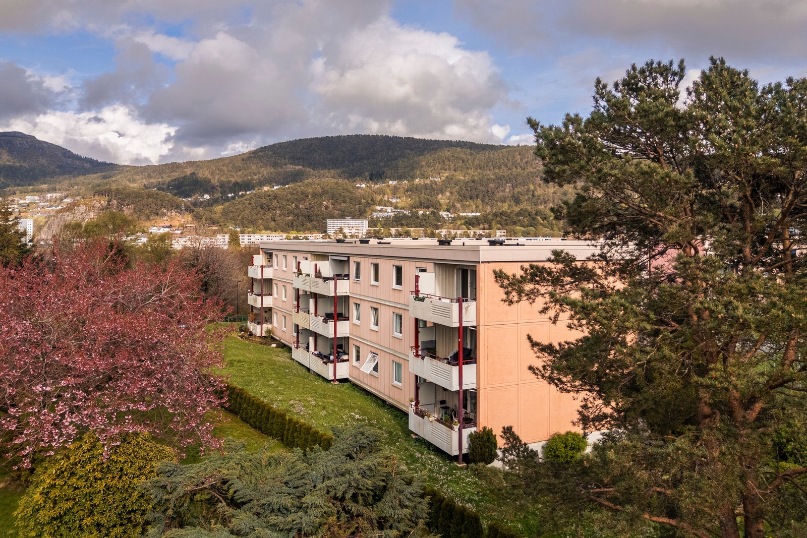 Husk å melde deg på visning! Galleribilde