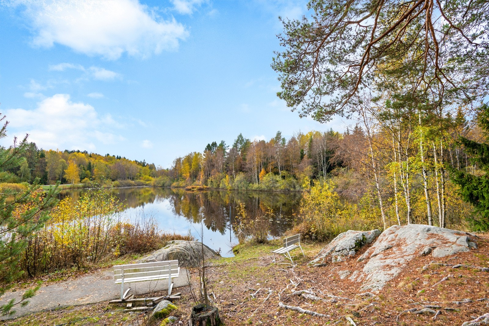 Langhusområdet er perfekt for fritidsaktiviteter utendørs som innendørs. Nøstvedtmarka byr på et stort nett av aktivitets- og turmuligheter. Galleribilde