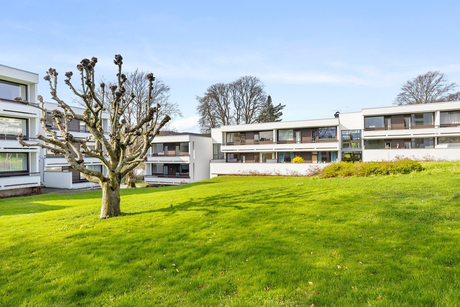 Dette er et veletablert og hyggelig sameie med flotte uteplasser Galleribilde