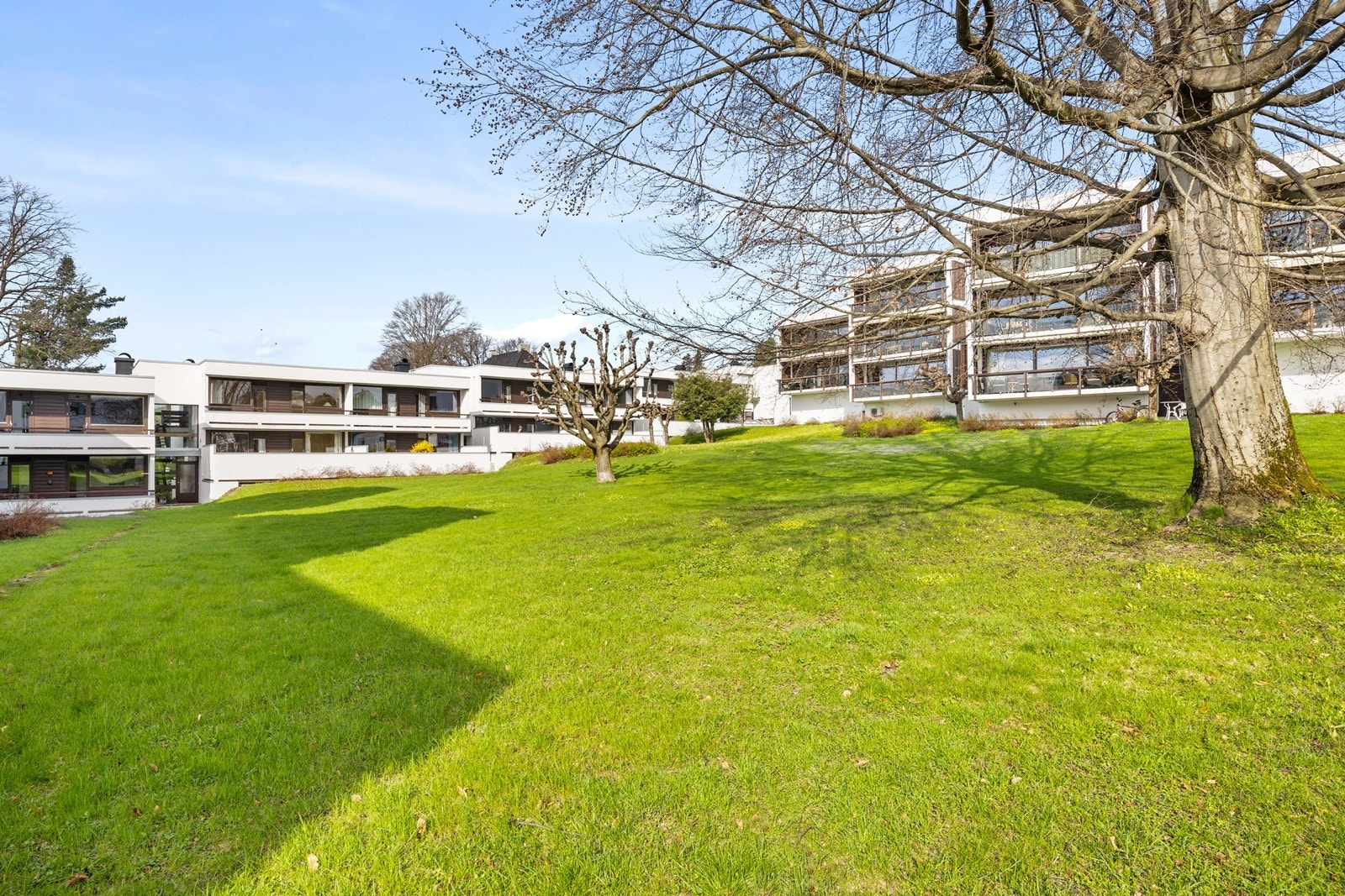 Bakhagen er fellesområde for alle i sameiet Galleribilde