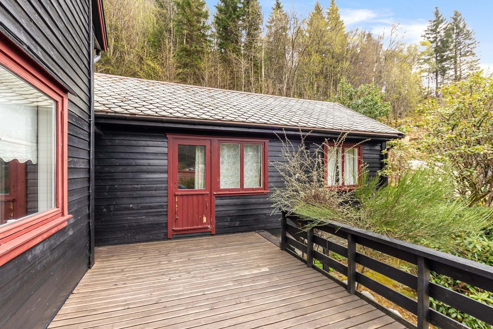 445_695dda85-49e1-46e2-8324-d4326e22f69f.jpg Galleribilde