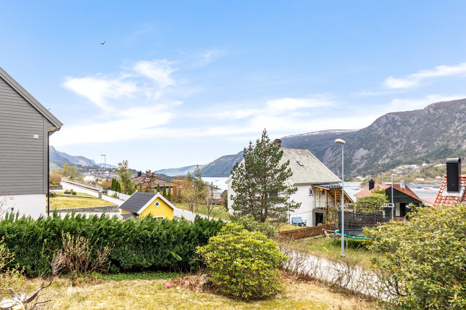 445_16daeb9d-fd91-4820-b79c-87087cd752a2.jpg Galleribilde