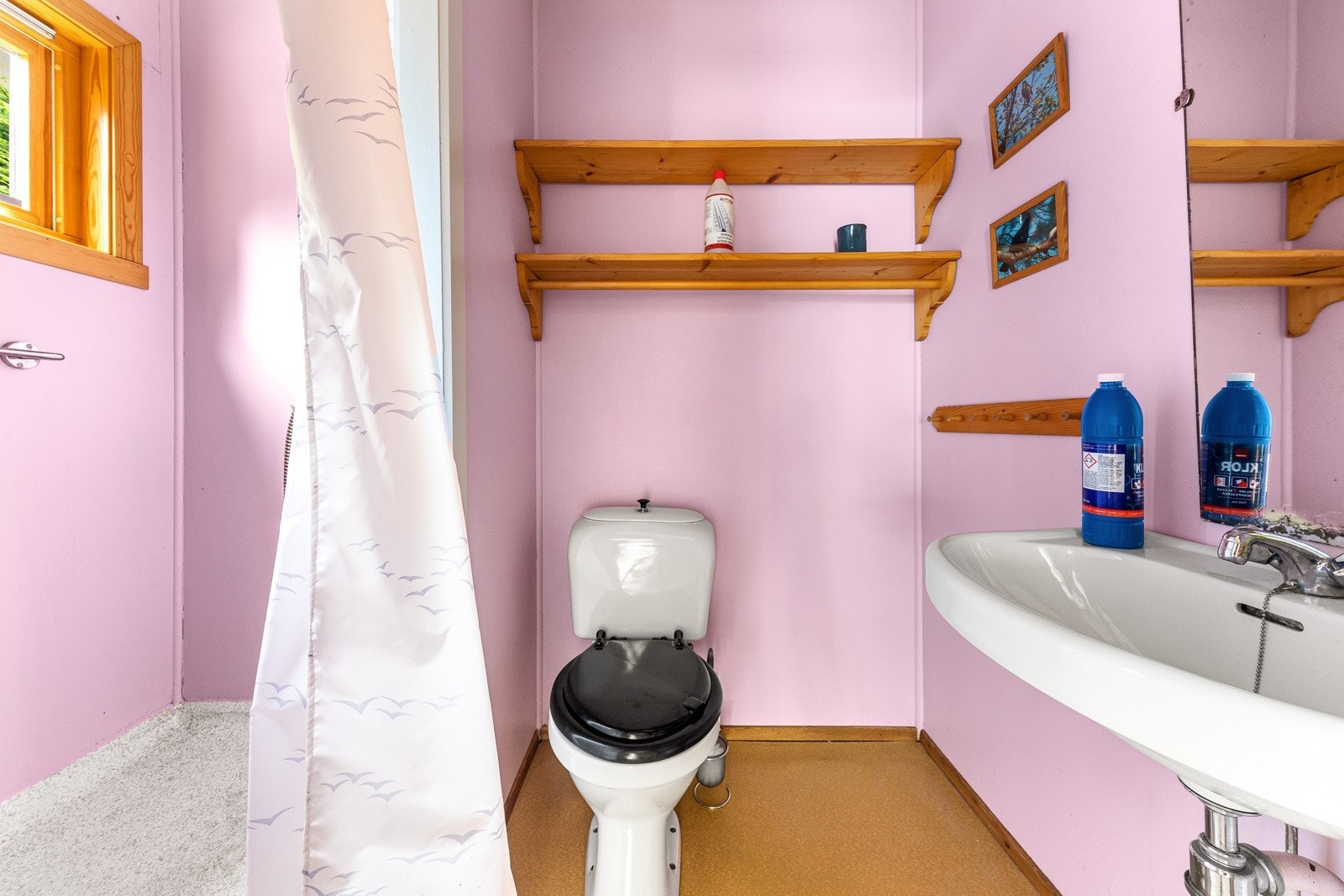 445_3c04bdbb-3481-4701-b566-9fc8ffb7e75c.jpg Galleribilde