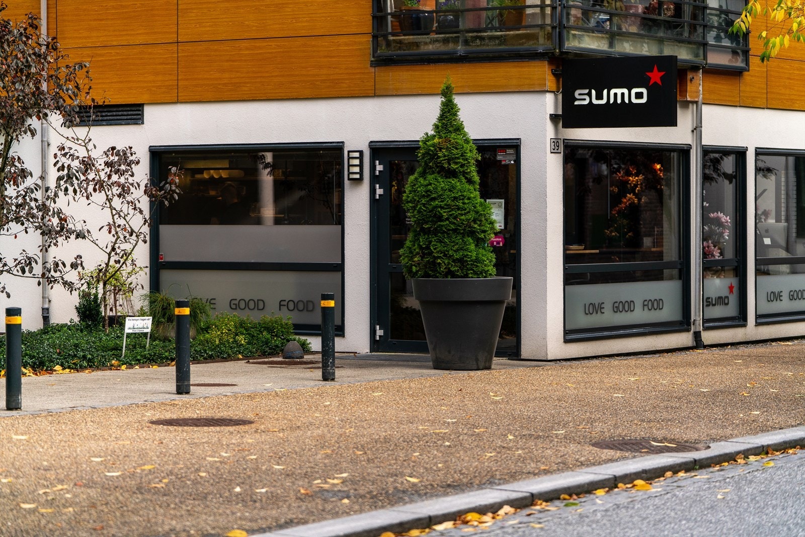 - Sumo omtrent som nærmeste nabo - Galleribilde