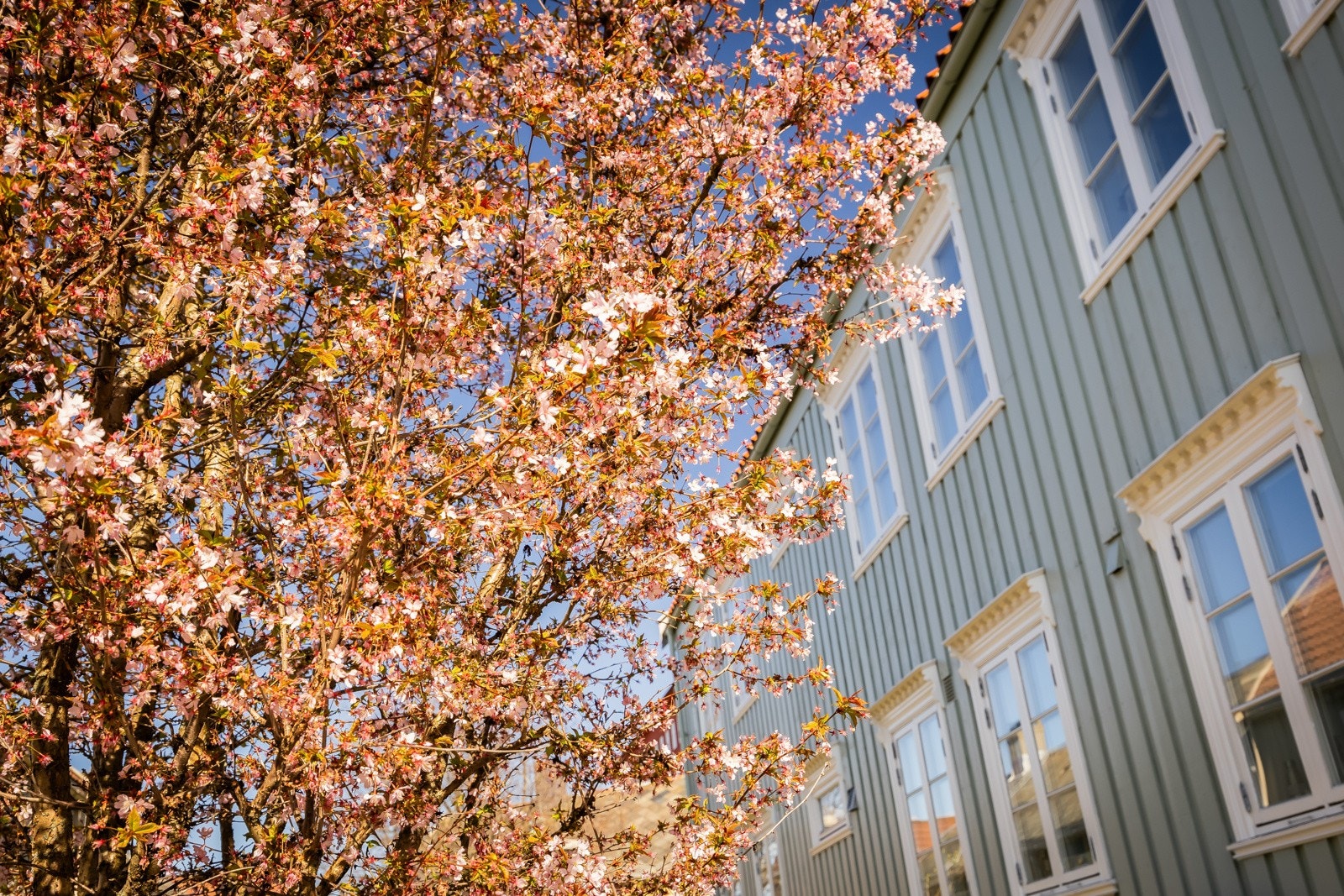 Til tross for sin sentrale plassering oppleves eiendommen å tilhøre en grønn lomme med naturlige omgivelser som nærmeste nabo. Galleribilde