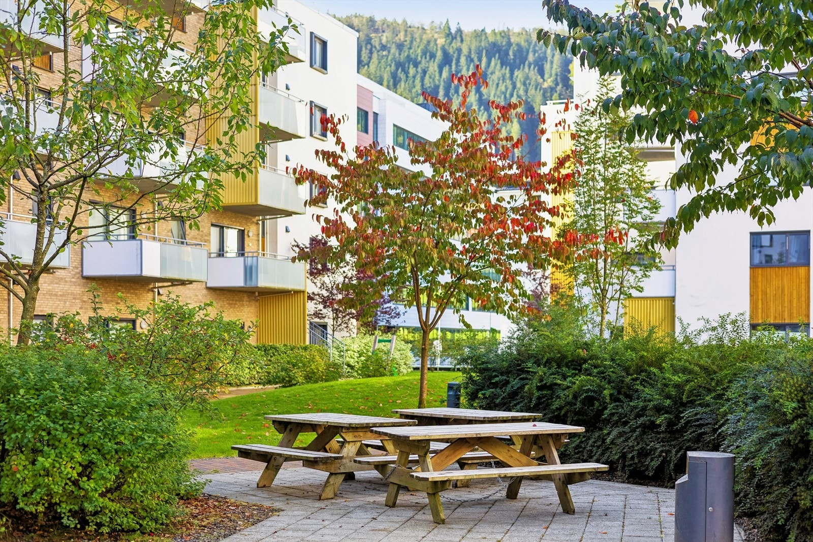 Flere sosiale soner i området rundt. Galleribilde